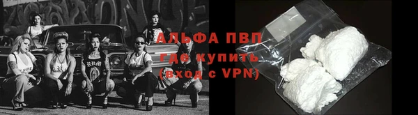 гидра Арсеньев