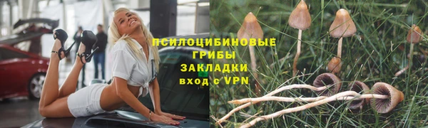 гидра Арсеньев