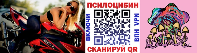 omg как зайти Долгопрудный Псилоцибиновые грибы Cubensis где купить наркоту