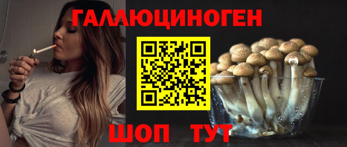купить наркоту  Галлюциногенные грибы мухоморы  Вход с VPN  Долгопрудный 